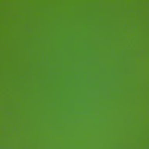 Meet your Posher, N.